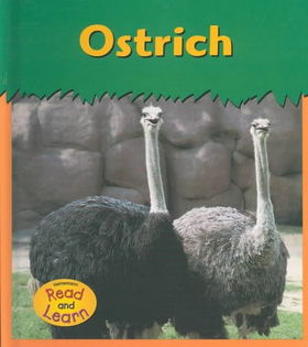 Ostrichostrich 