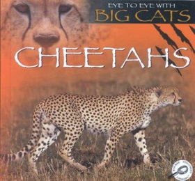 Cheetahscheetahs 