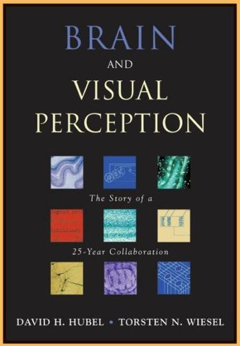 Brain And Visual Perceptionbrain 