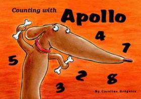 Counting With Apollocounting 