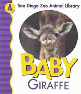 Baby Giraffebaby 