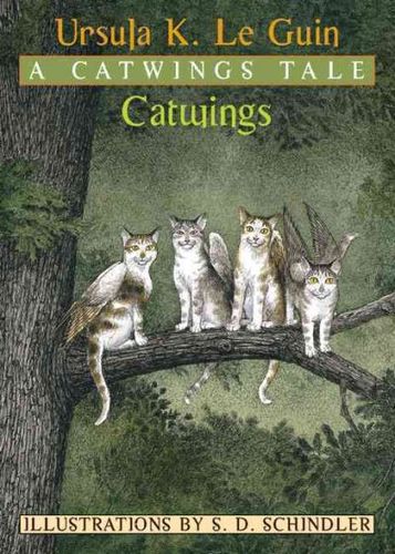 Catwingscatwings 