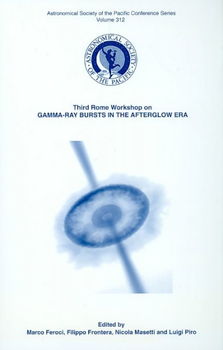 Third Rome Workshop on Gamma-Ray Bursts in the Afterglow Erathird 