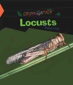 Locustslocusts 