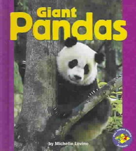 Giant Pandasgiant 
