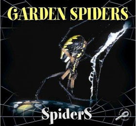 Garden Spidersgarden 