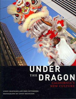 Under the Dragondragon 