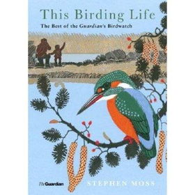 This Birding Lifebirding 