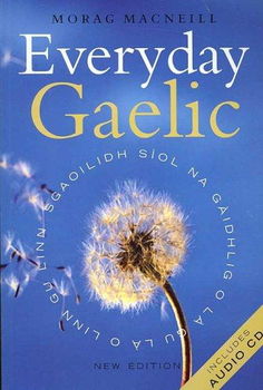 Everyday Gaeliceveryday 