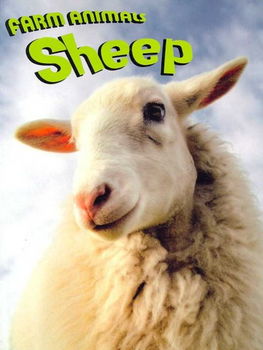 Sheepsheep 