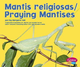 Mantis Religiosas/Praying Mantisesmantis 