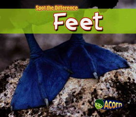 Feetfeet 