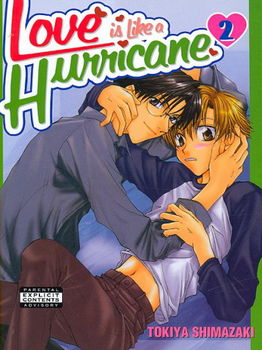 Love Is Like a Hurricane 2love 