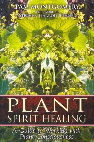 Plant Spirit Healingplant 
