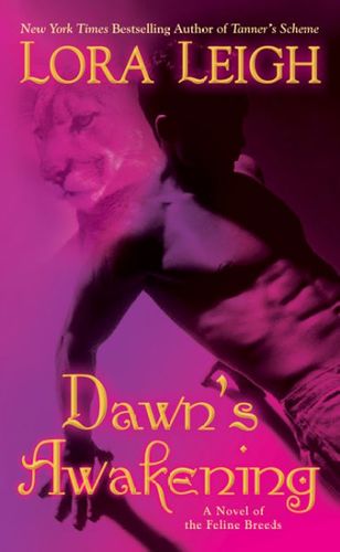 Dawn's Awakeningdawn 