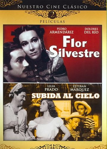 FLOR SILVESTRE/SUBIDA AL CIELOflor 