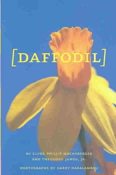 Daffodildaffodil 
