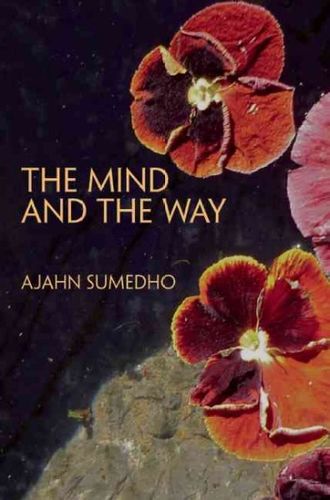 The Mind and the Waymind 