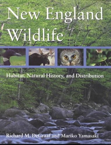 New England Wildlifeengland 