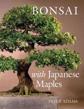 Bonsai With Japanese Maplesbonsai 