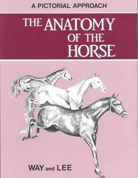 Anatomy of the Horseanatomy 