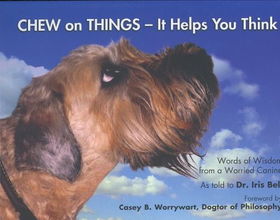 Chew on Things - It Helps You Thinkchew 