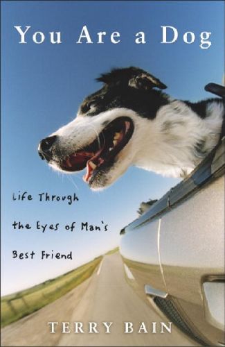 You Are A Dogdog 