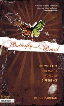 Butterfly in Brazilbutterfly 