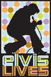Elvis Lives 1 39"x58"
