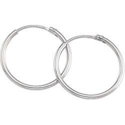 Platinum Hoop Earringsplatinum 