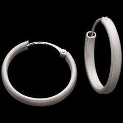 Platinum Hoop Earringsplatinum 