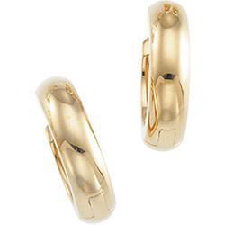 14K White Gold Hinged Earringswhite 