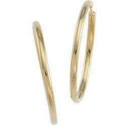 14K Yellow Gold Hinged Earringsyellow 