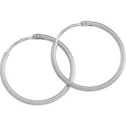 Platinum Hoop Earringsplatinum 