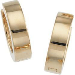 14K Yellow Gold Hinged Earringsyellow 