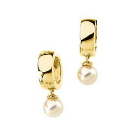 14K Yellow Gold Hinged Earringsyellow 