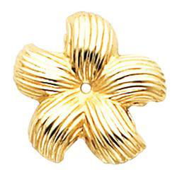 14K Yellow Gold Design Earrings Jacketyellow 