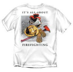 ALL ABOUT FIREFIGHTINGfirefighting 