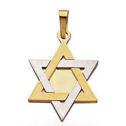 14K Two Tone Gold Star Of David Pendanttwo 