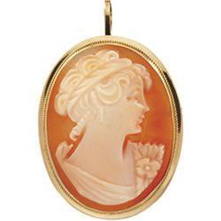 14K Yellow Gold Cornelian Shell Cameo Broochyellow 