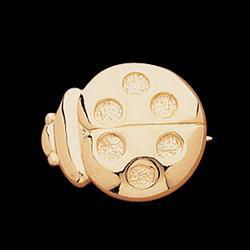 14K Yellow Gold Ladybug Broochyellow 