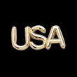 14K Yellow Gold USA Lapel Pin