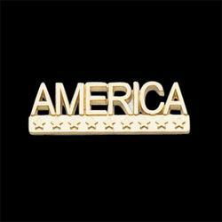 14K Yellow Gold America Lapel Pinyellow 