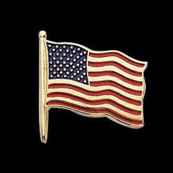 14K White Gold American Flag Lapel Pinwhite 