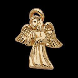 14K Yellow Gold Angel Lapel Pinyellow 