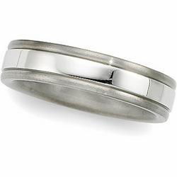 Titanium & Platinum Design Bandtitanium 