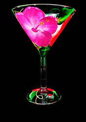 Hibiscus Design - Hand Painted - Grande Martini - 10 oz.hibiscus 