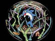 Dazzling Dolphin Design - Hand Painted - Platter/Serving Plate - 13 inch diameter