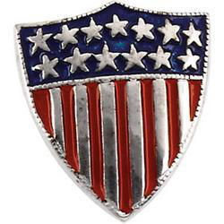 14K White Gold America Shield Of Honor Lapel Pinwhite 