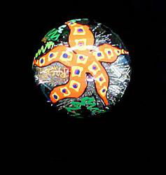 Stars of the Sea Design - Hand Painted - Heavy Glass Ornament - 2.75 inch diameterstars 